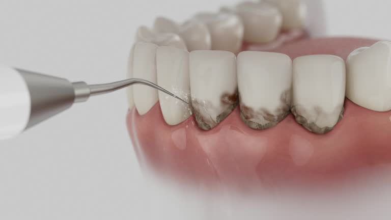 Reliable Dental contractor in Evart, MI by Dentist Open Now